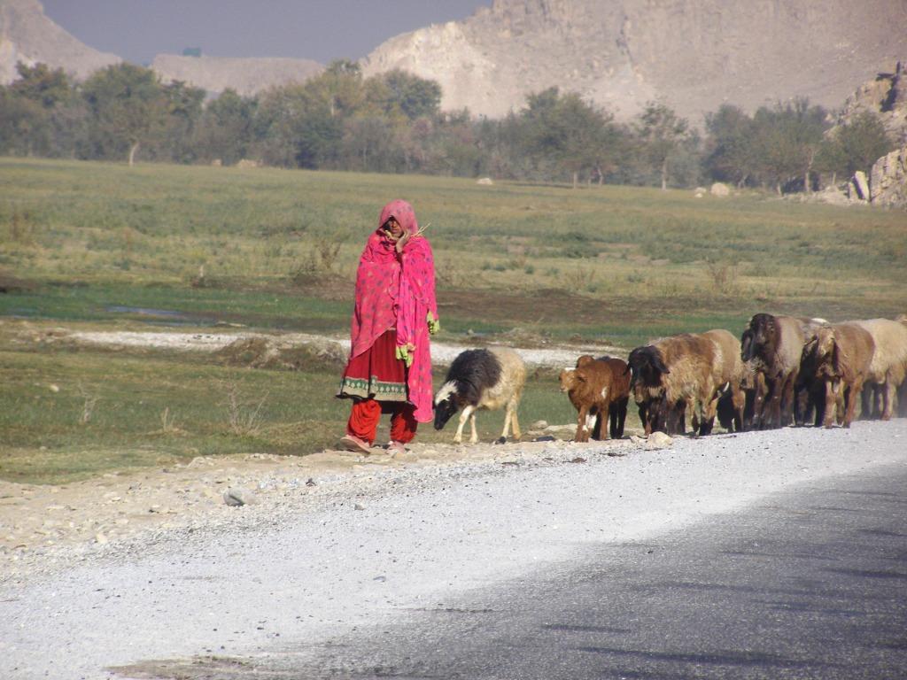 Kuchi woman in Parwan Province