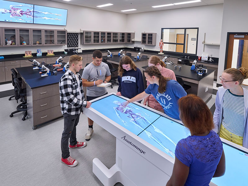 Students in anatomy lab