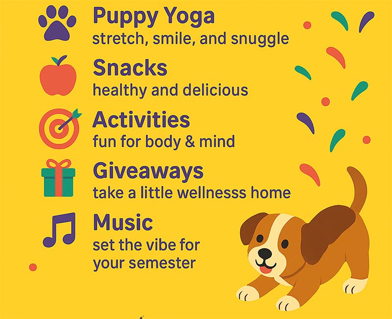 Flyer for Party on the Porch