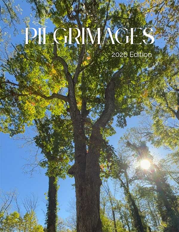 Cover of magazine, with photo of tree and text "Pilgrimages 2026 Edition"
