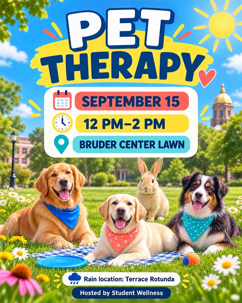 Pet Therapy poster