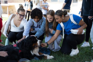 Group of diverse students kneeling on grass, petting a large Bernese mountain dog wearing a red harness on a campus lawn