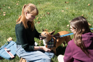 Two friends sit on the grass with a small brown dog wearing a plaid scarf on a blue leash, enjoying a sunny day in the park.