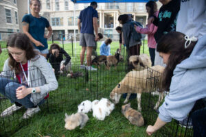 People at an outdoor pet event interact with rabbits in pens; a light-brown dog stands nearby under a blue canopy.