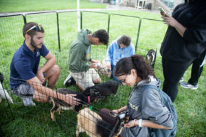 Group of young people in a grassy park around a metal pen with small goats; a woman in a gray hoodie feeds a goat while others outdoors nearby.