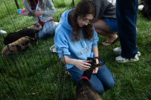 Young woman kneels on grass in a blue hoodie, stroking a small black goat with a red collar inside a metal pen at an outdoor event.