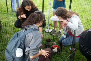 Group of young people kneeling around a small animal pen with fluffy chicks on a grassy field, observing and interacting.