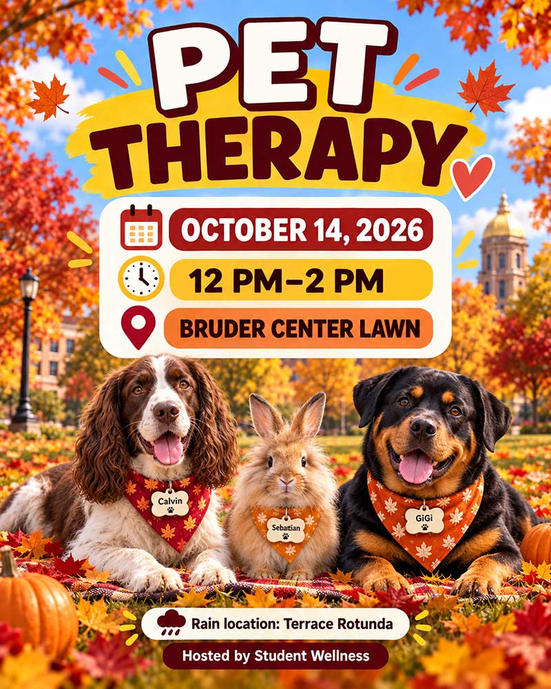 Dogs and a bunny on a college campus in fall